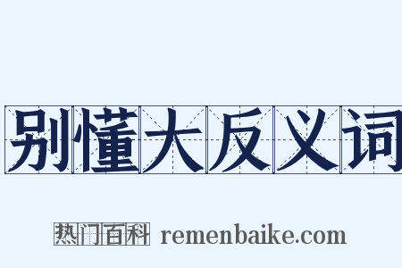 别懂大反义词是什么意思的图片